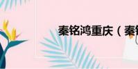 秦銘鴻重慶(秦銘鴻)