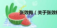張效梅(關于張效梅介紹)