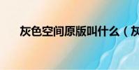 灰色空間原版叫什么(灰色空間原版)
