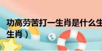 功高勞苦打一生肖是什么生肖(勞苦功高打一生肖)
