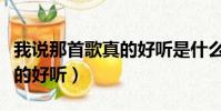我說那首歌真的好聽是什么歌(我說那首歌真的好聽)
