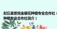 封丘縣景民金銀花種植專業合作社(關于封丘縣景民金銀花種植專業合作社簡介)