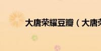 大唐榮耀豆瓣(大唐榮耀 豆瓣)