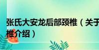 張氏大安龍后部頸椎(關于張氏大安龍后部頸椎介紹)