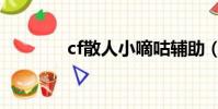 cf散人小嘀咕輔助(cf散人)