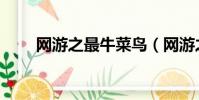 網游之最牛菜鳥(網游之極品菜鳥)