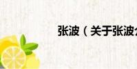 張波(關于張波介紹)