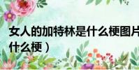 女人的加特林是什么梗圖片(女人的加特林是什么梗)