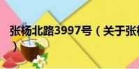 張楊北路3997號(關于張楊北路3997號介紹)