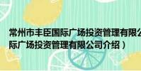 常州市豐臣國際廣場投資管理有限公司(關于常州市豐臣國際廣場投資管理有限公司介紹)