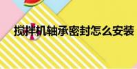 攪拌機軸承密封怎么安裝(攪拌機軸承)