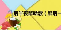 后半夜醉啥歌(醉后一夜片尾曲)