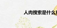 人肉搜索是什么意思?