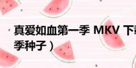 真愛如血第一季 MKV 下載(真愛如血第一季種子)