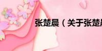 張楚晨(關于張楚晨介紹)