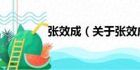 張效成(關于張效成介紹)