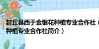 封丘縣西于金銀花種植專業合作社(關于封丘縣西于金銀花種植專業合作社簡介)