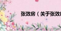 張效房(關于張效房介紹)