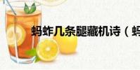 螞蚱幾條腿藏機詩(螞蚱幾條腿)
