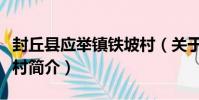 封丘縣應舉鎮鐵坡村(關于封丘縣應舉鎮鐵坡村簡介)