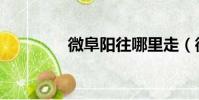 微阜陽往哪里走(微阜陽)