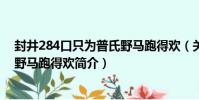封井284口只為普氏野馬跑得歡(關于封井284口只為普氏野馬跑得歡簡介)