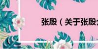 張殷(關于張殷介紹)