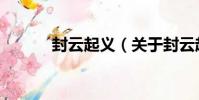 封云起義(關于封云起義簡介)