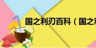 國之利刃百科(國之利刃游戲)