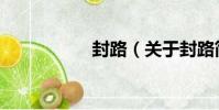 封路(關于封路簡介)