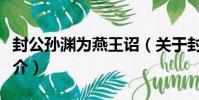 封公孫淵為燕王詔(關于封公孫淵為燕王詔簡介)