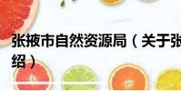 張掖市自然資源局(關于張掖市自然資源局介紹)