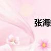 張海媚（關于張海媚介紹）