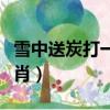 雪中送炭打一個生肖動物（雪中送炭打一個生肖）