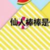 仙人棒棒是什么意思（棒棒是什么意思）