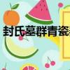 封氏墓群青瓷器（關于封氏墓群青瓷器簡介）