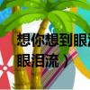 想你想到眼淚流 等你等到白了頭（想你想到眼淚流）