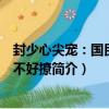 封少心尖寵：國民男神不好撩（關于封少心尖寵：國民男神不好撩簡介）