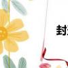 封圣（關于封圣簡介）