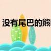 沒有尾巴的熊叫無尾熊套路（沒有尾巴的熊）