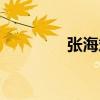 張海斌（關于張海斌介紹）