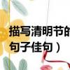 描寫清明節的句子佳句(80字)（描寫清明節的句子佳句）