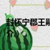 封懷寧郡王嗣英制（關于封懷寧郡王嗣英制簡介）