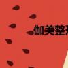 伽美整形醫院 夏季（伽美整形）