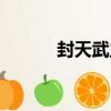 封天武主（關于封天武主簡介）
