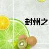 封州之戰（關于封州之戰簡介）