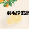 羽毛球館高度8米夠嗎（羽毛球館高度）