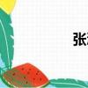 張浩（關于張浩介紹）