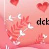 dcboys成員（dcboys）