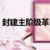封建主階級革命（關于封建主階級革命簡介）